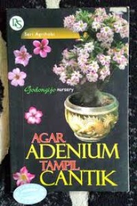 Image of AGAR ADENIUM TAMPIL CANTIK