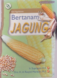 Image of Bertaman Jagung