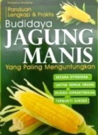 Image of Budi Daya Jagung Manis