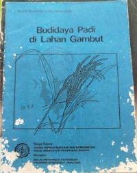 Image of Budidaya Padi di Lahan Gambut