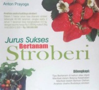 Image of Jurus Sukses Bertanam Stoberi