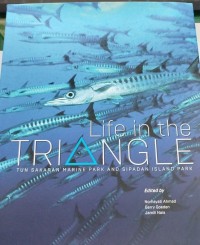Image of Life in the TRIANGLE