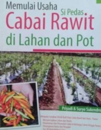 Image of Memulai Usaha Cabai rawit Di Lahan Dan Pot