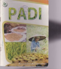 Image of Padi
